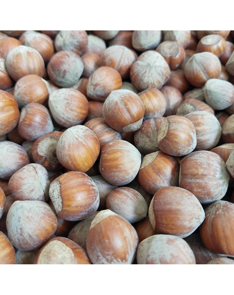 Noisettes "Tonda di Giffoni" IGP Noisettes "Tonda di Giffoni" IGP