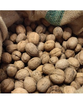 Organic walnuts in shell