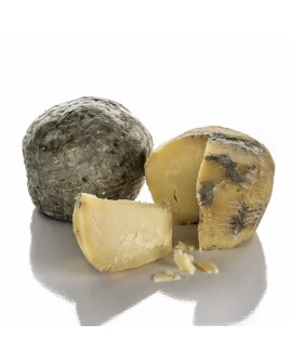 Ricotta salata del Molise